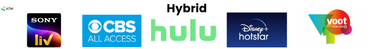 Hybrid: Video On Demand